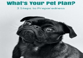 What's Your Pet Plan