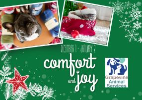 Dog and Cat photos with snowflakes