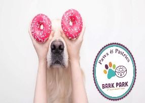 Dog with pink donuts covering eyes